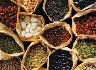 Seeds: The Chota Packet Healthy Dhamaka