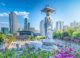 Interesting Things To Do And See In South Korea