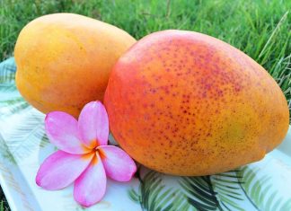 Did You Know The Mango Season Is Celebrated In A Big Way In Hawaii ?